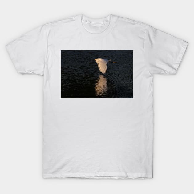 Snow over Water - Snowy Egret T-Shirt by Jim Cumming